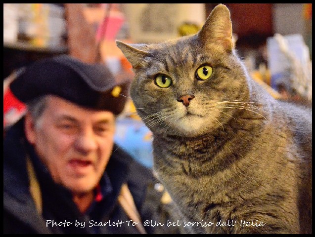 Libreria acqua alta12_副本