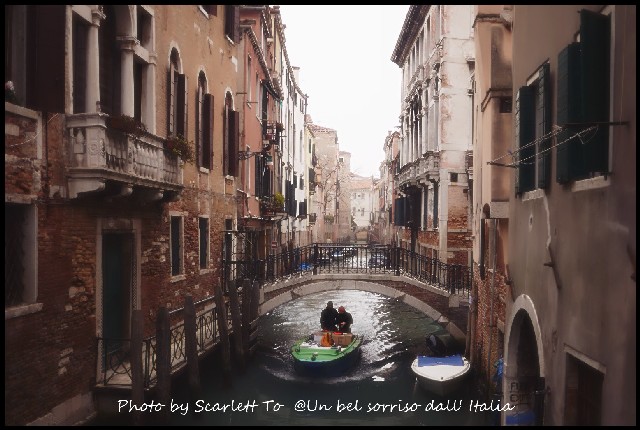 Libreria acqua alta7