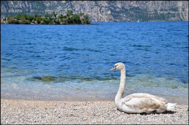Malcesine07