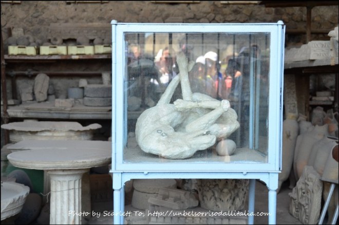 Pompeii03