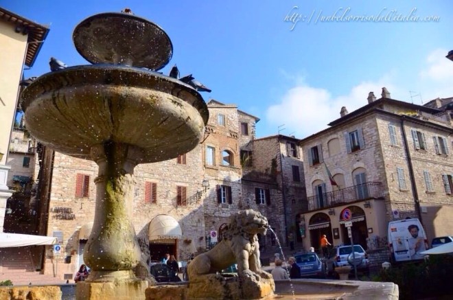 Assisi5