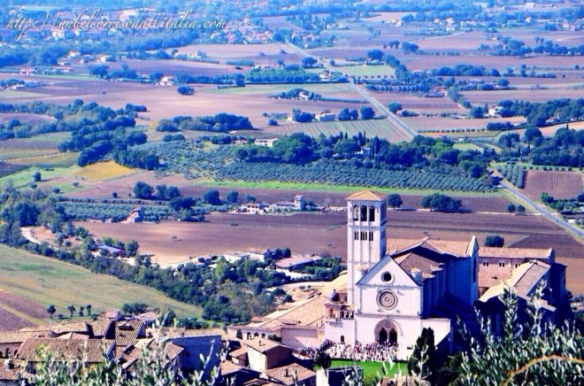 Assisi1