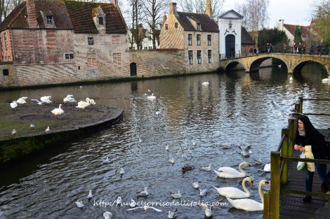 Bruges14