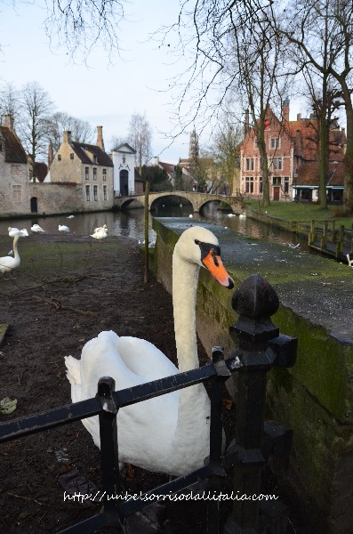 Bruges15