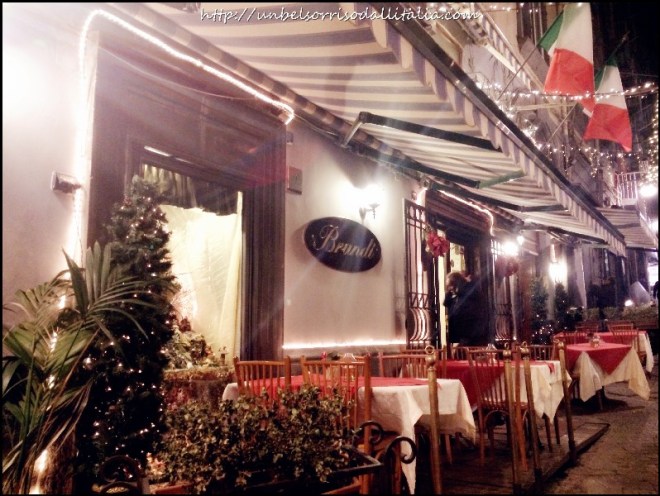 BrandiNapoli03
