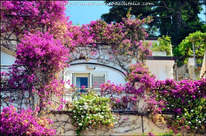 positano17
