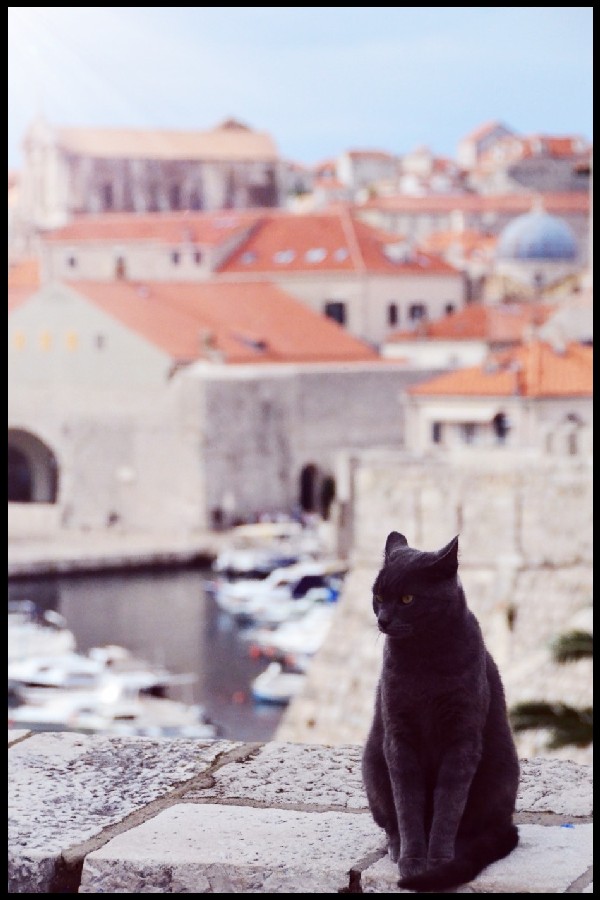 Dubrovnik14