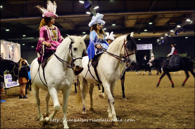 FieraCavalli04