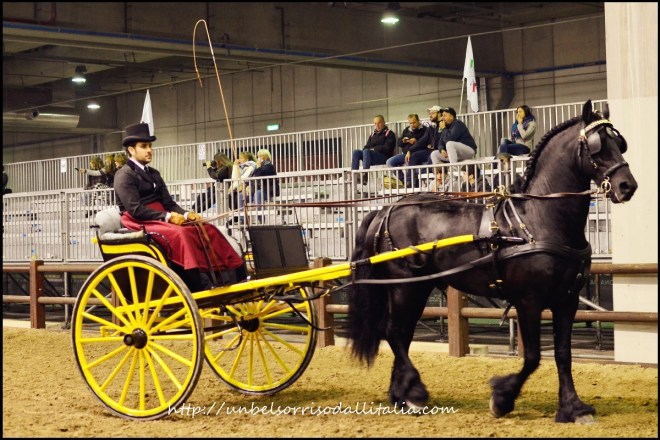 FieraCavalli06