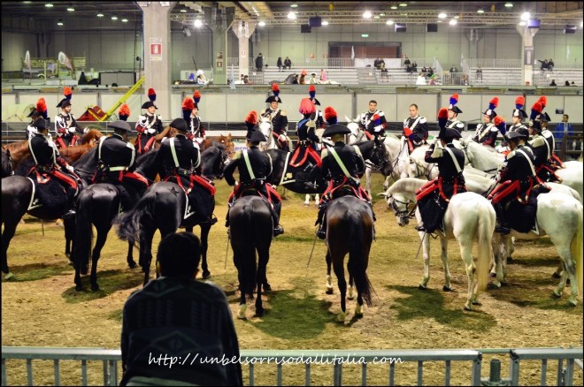 FieraCavalli10