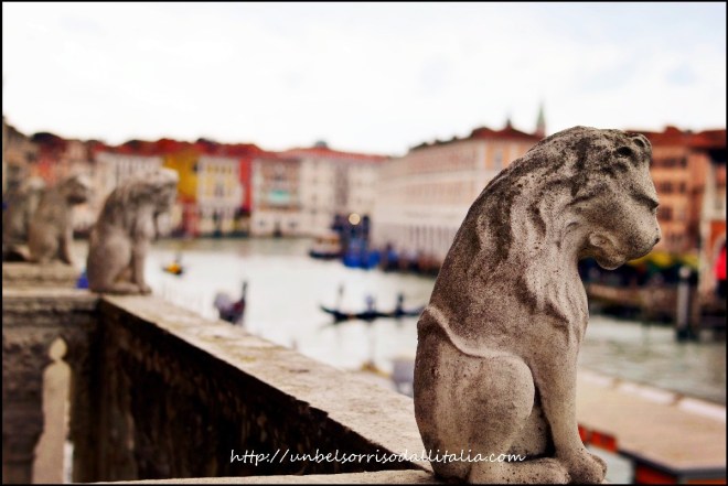 veneziamuseo20