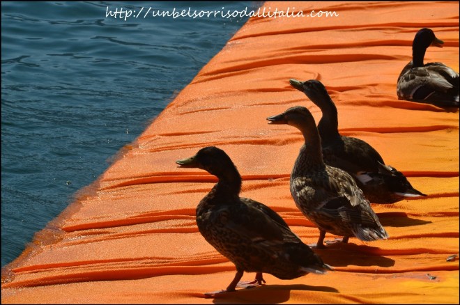 thefloatingpiers06