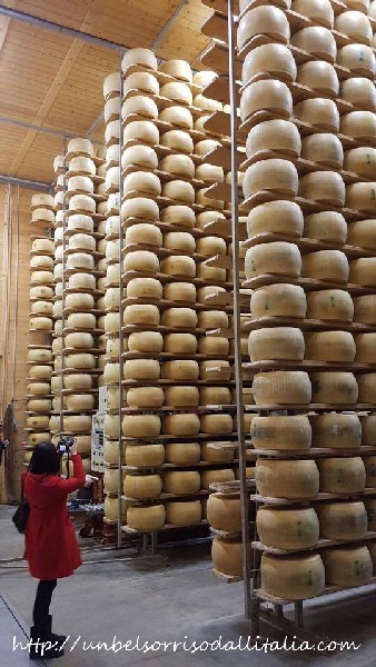 Parmigiano8