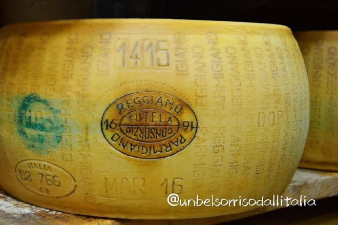 Parmigiano9