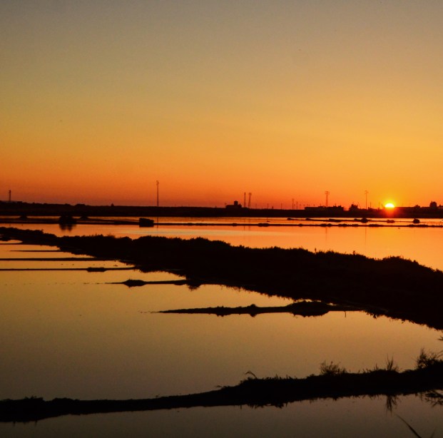 2017-05-29 02.26.00-1