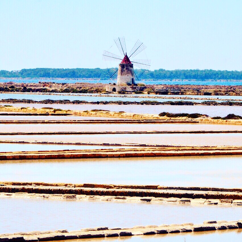 2017-06-11 17.19.45-2