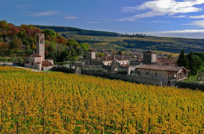 照片由Villa Della Torre Allegrini 提供