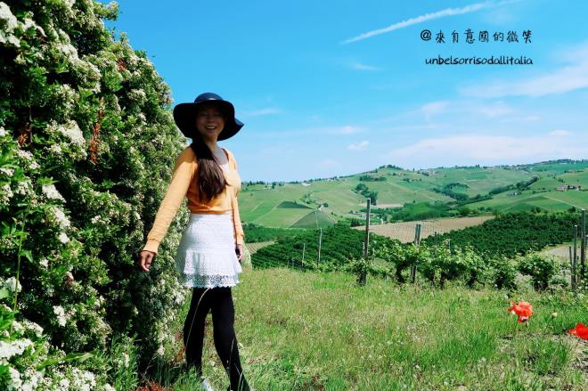 32932028_1783383265056579_885176550499024896_o