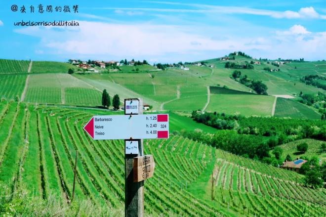 32970615_1783389185055987_4629701851455946752_o