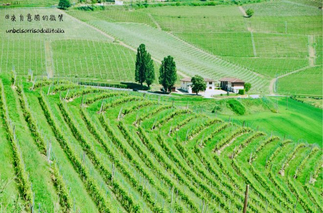 34038802_10156323825327836_2412361861761597440_o