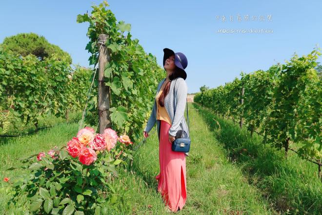 37108719_10156434491642836_9018122864108240896_o