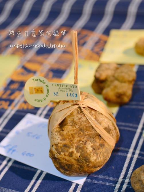 22195631_1557829967611911_1427392882985302549_n