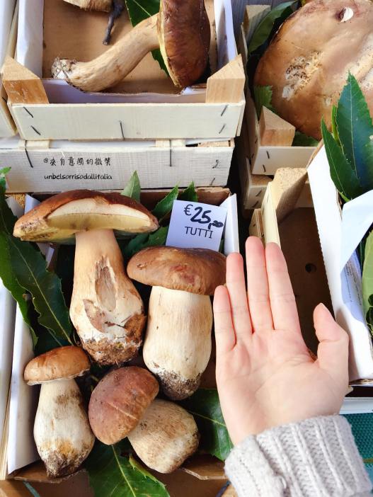 40600264_10156557573807836_1885799249229119488_o