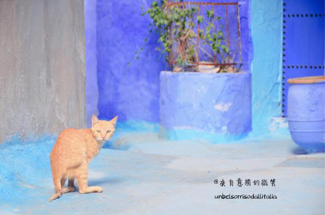 47032357_308021163382556_1943505089788379136_n