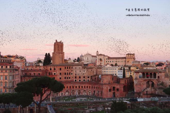 66450661_2387521914642708_6078285284062003200_o