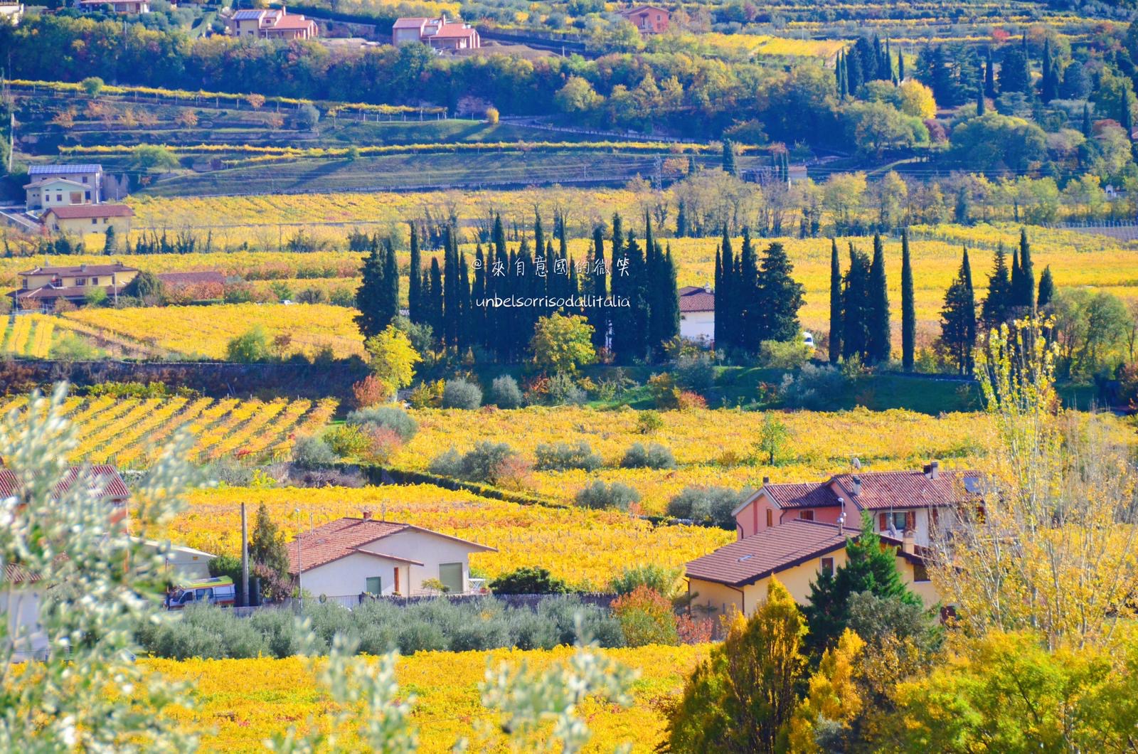 Valpolicella Verona 22