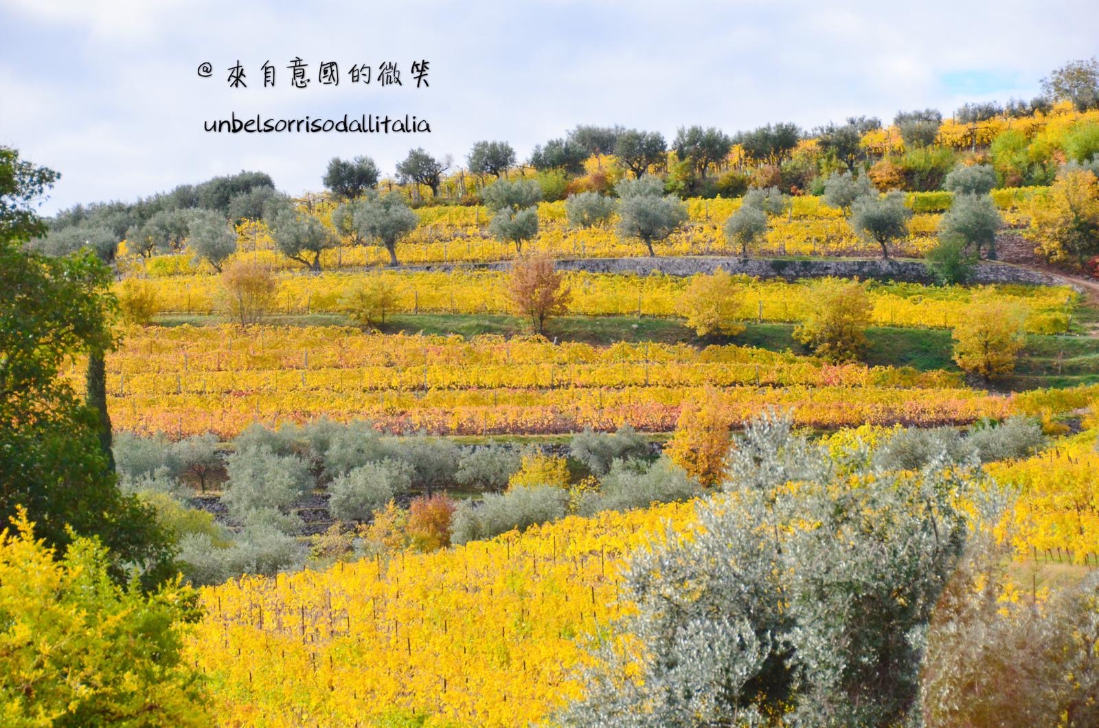 Valpolicella Verona 6