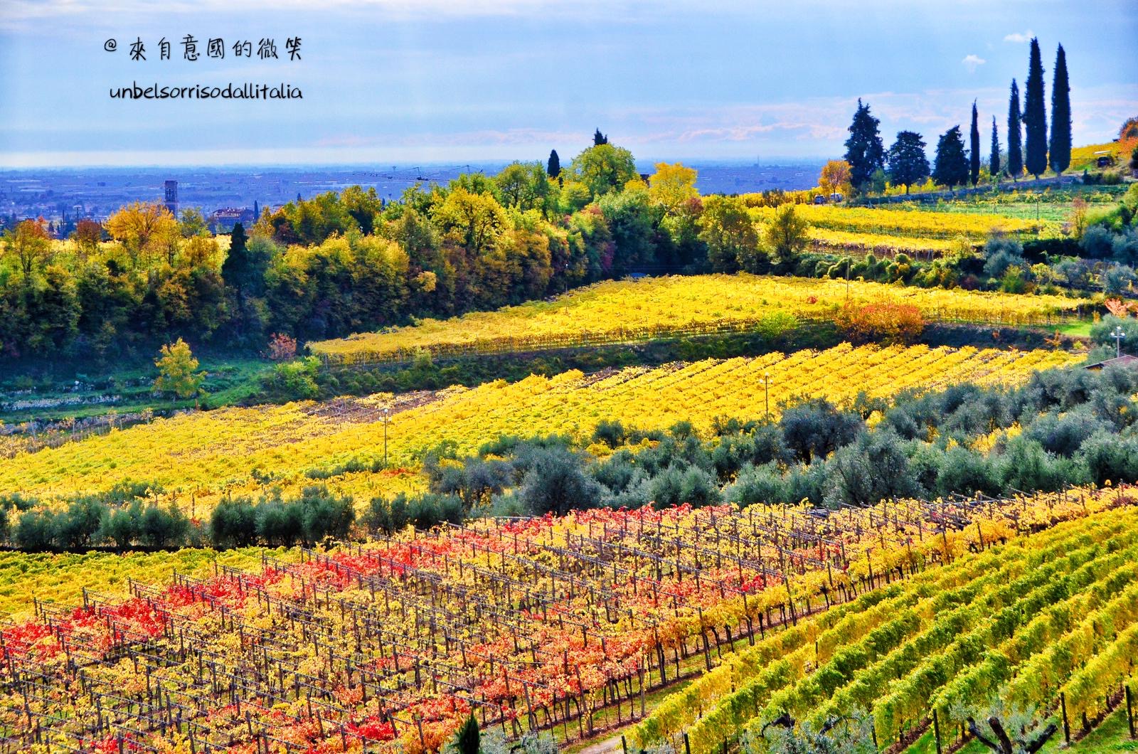 Valpolicella Verona 7
