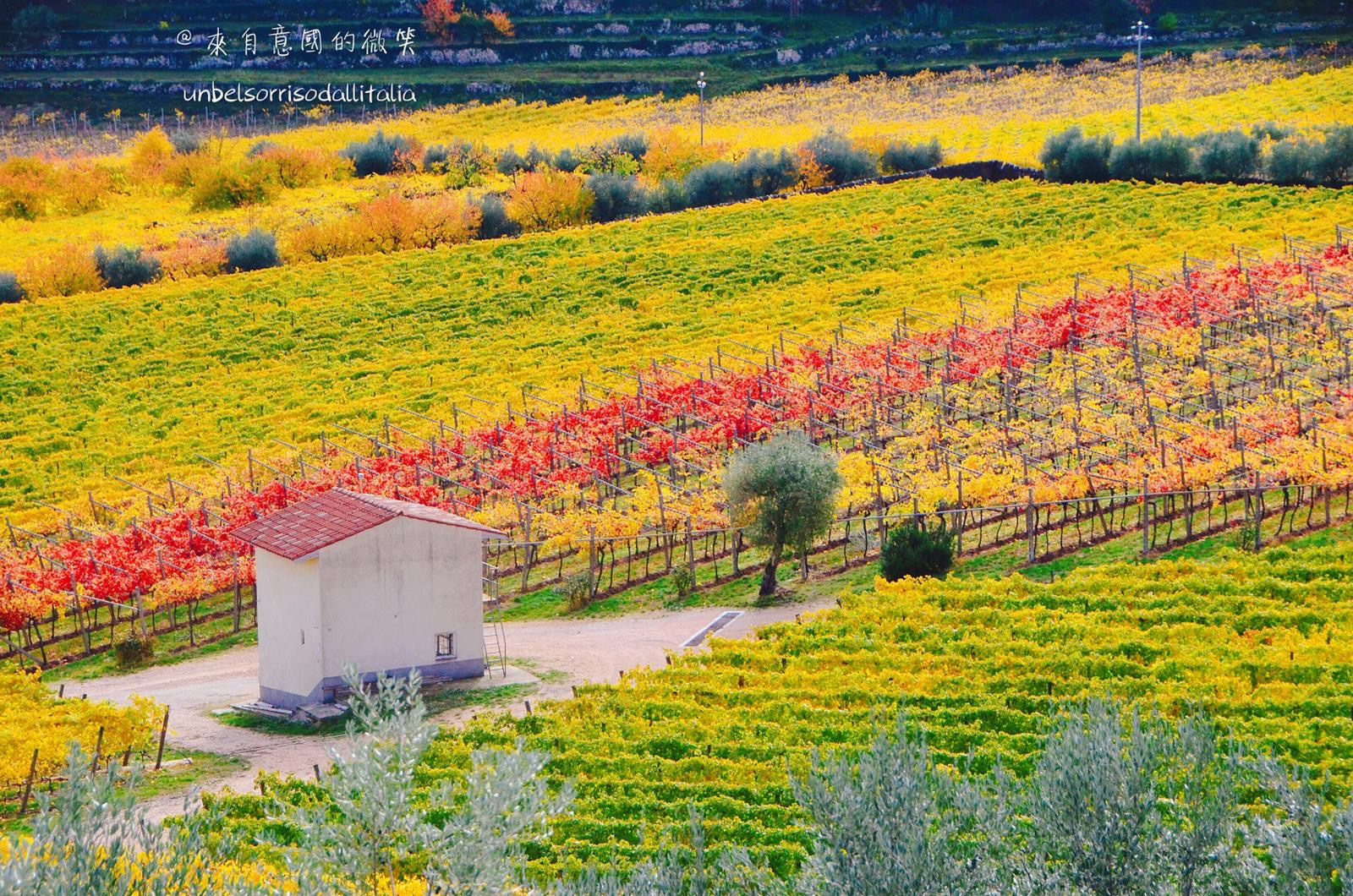 Valpolicella Verona 9